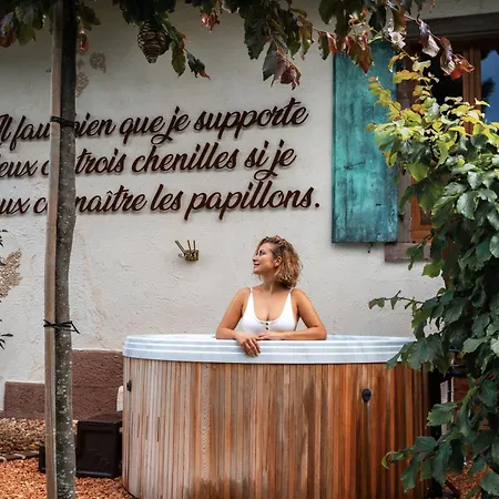 Le Grand Petit Prince - Domaine De Charme - Jacuzzis Privatifs Guebwiller Exterior photo