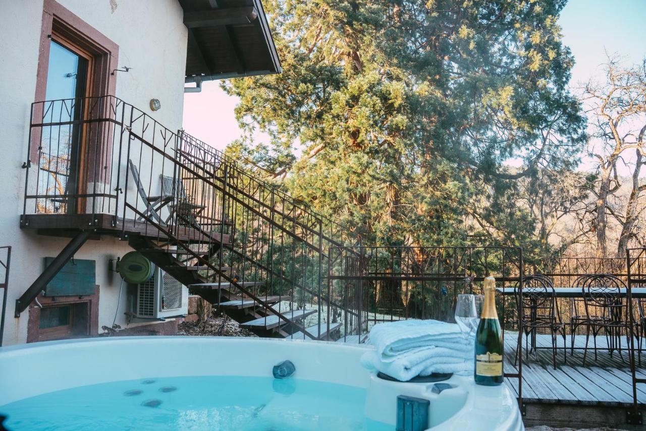 Holiday home Le Grand Petit - Domaine De Charme - Jacuzzis Privatifs Guebwiller